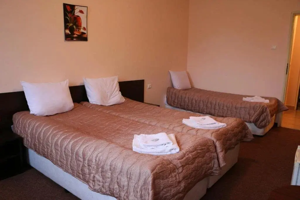 Чепеларе: Bedenski Bani Hotel