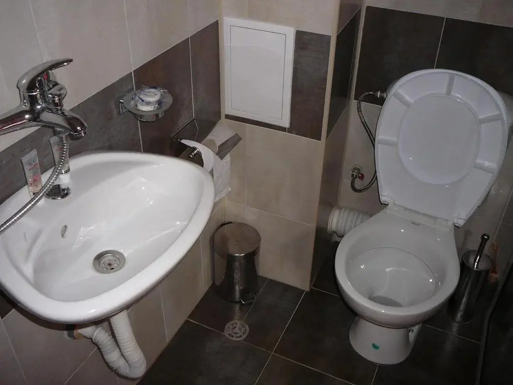Дупница: Guesthouse Argacho