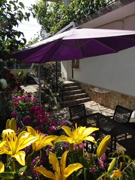 Сапарева баня: Georgievi Guest House