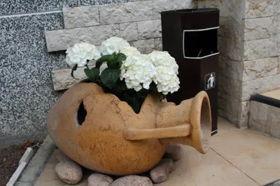 Иноземцево: Villa florin