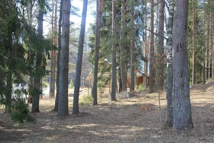 Заречье: Seliger Cottage