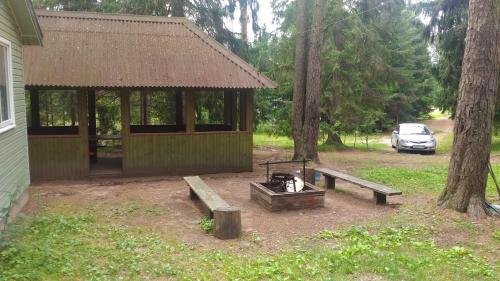 Осташков: Tvoy Seliger