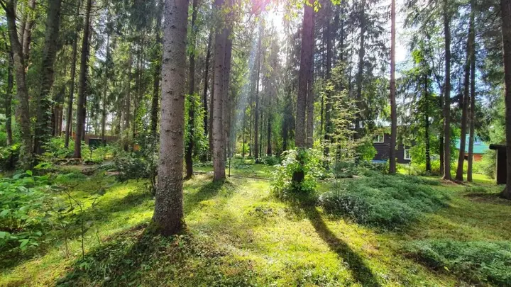 Осташков: WHISH HOTEL Seliger
