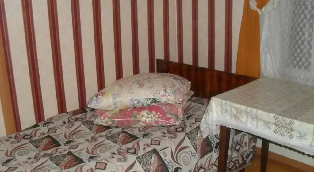 Плес: Dom U Pruda