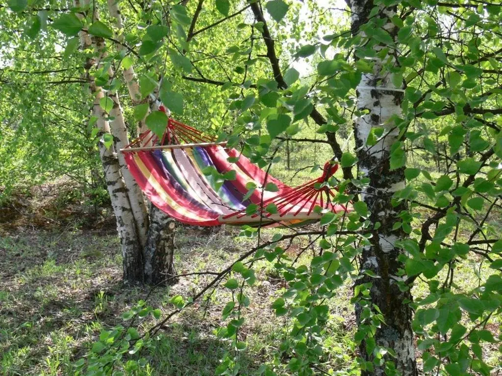 Малое Уклейно: Camping Bereg Best Beach Stylish Coastline National Park Valday