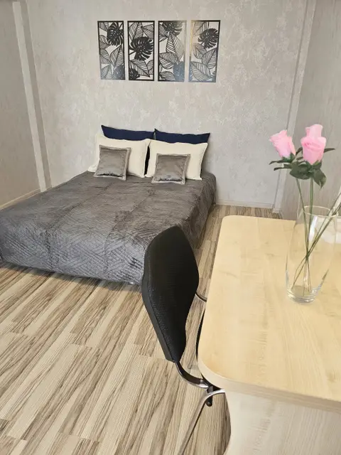 Квартира Двухкомнатная у разлива в Сестрорецке — фото 1