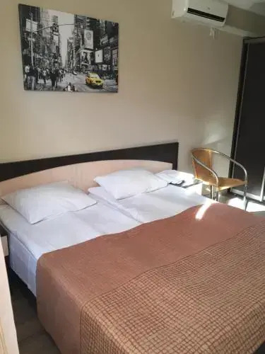 Сочи: Guesthouse Alina