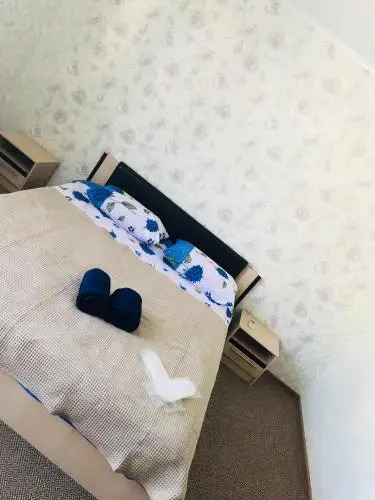 Сочи: Adrada Palace Guest House