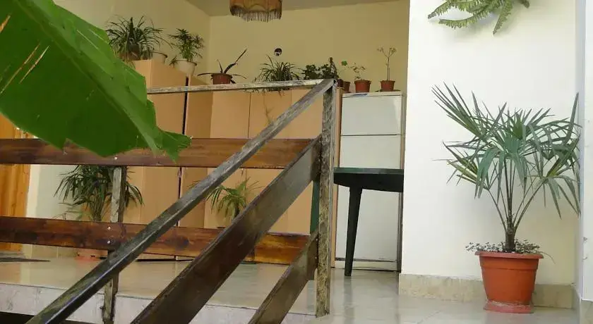 Afalina Guest House — фото 1