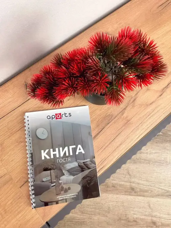Нижний Новгород: Апартаменты Уютная студия около ж/д вокзала
