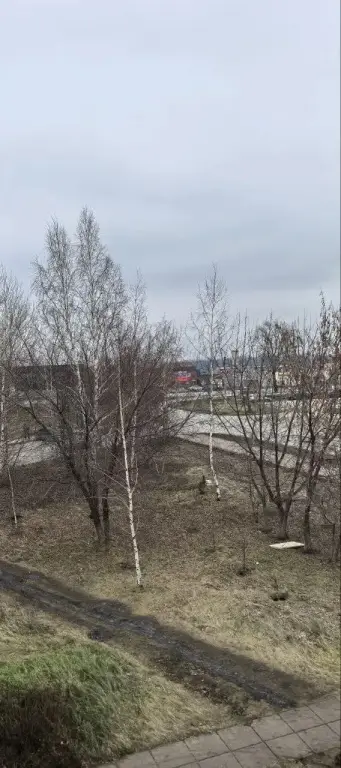 Набережные Челны: Квартира Удобная