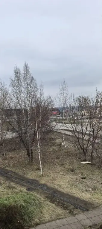 Набережные Челны: Квартира Удобная
