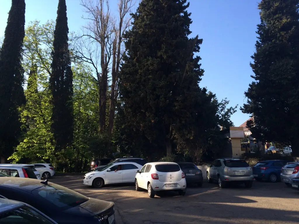 Сочи: Apartments na Svetlane