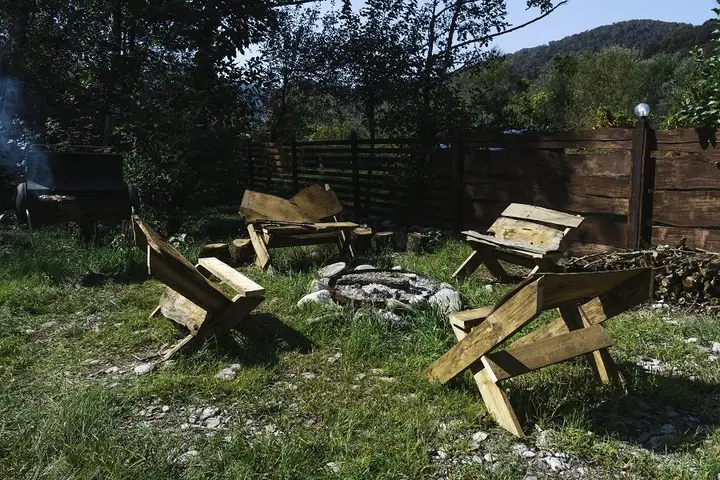 Сочи: Древо