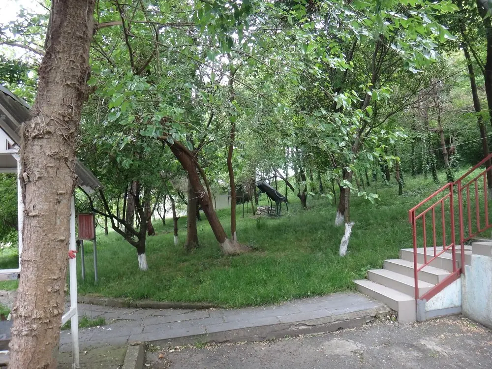 Сочи: Baza Otdykha Palmira (Shuyuk)