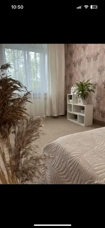 Кострома: Квартира Уютная квартира в центре Костромы