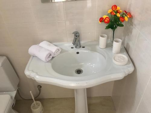 Сочи: Darina Guest House