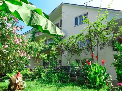 Сочи: Delfin Guest House