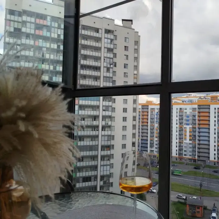 Мурино: Квартира с Видом на Город