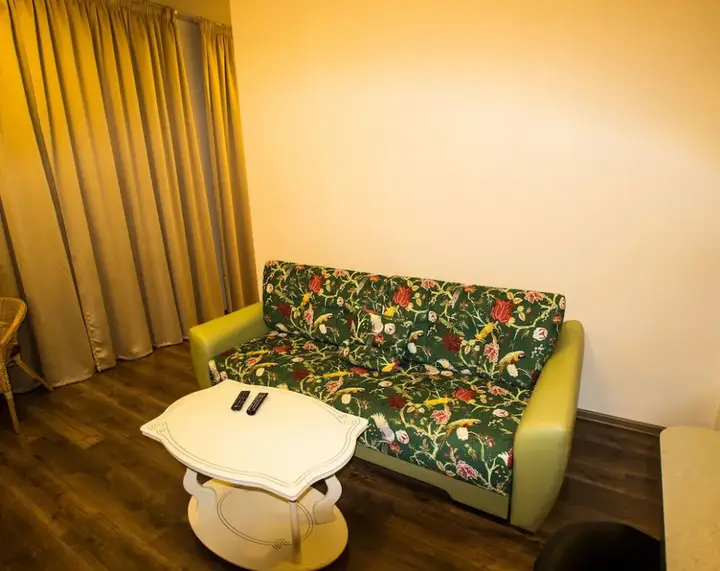 Сочи: Fenix Deluxe Apartment on Triumfalnaya 12-4