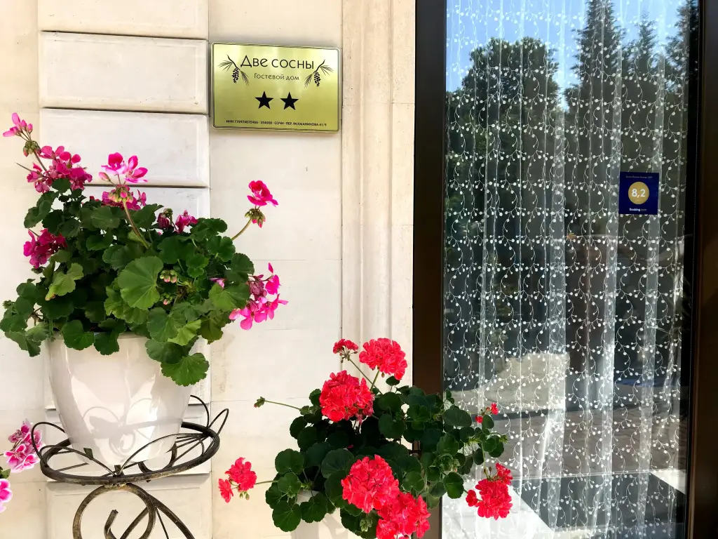 Сочи: Гостевой дом Две Сосны