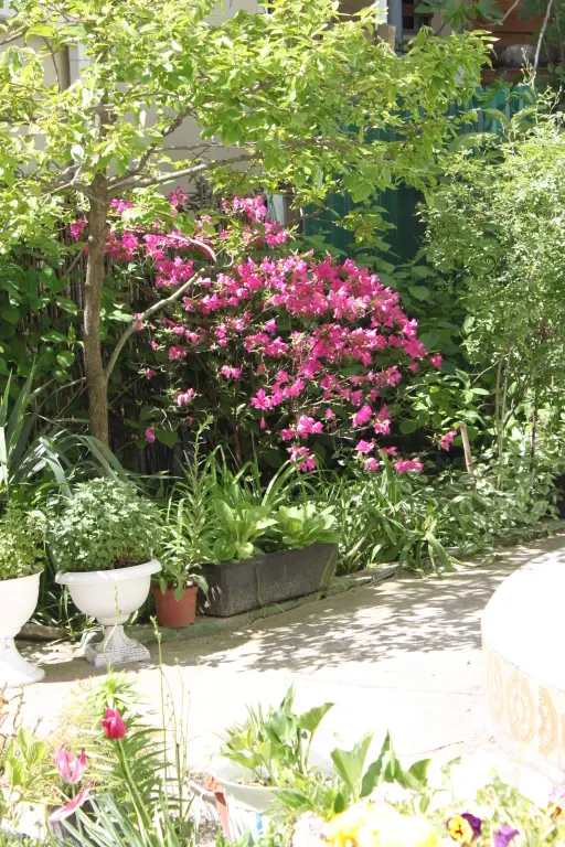 Сочи: Dobro Pozhalovat Guest House