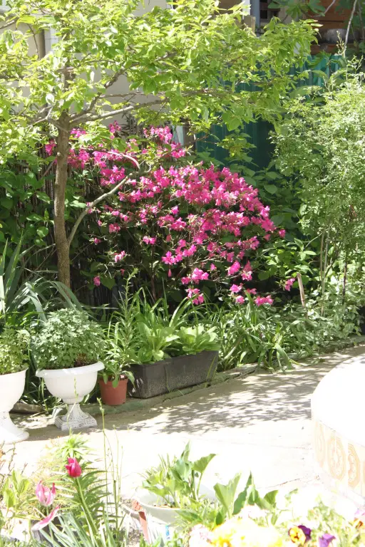 Сочи: Dobro Pozhalovat Guest House