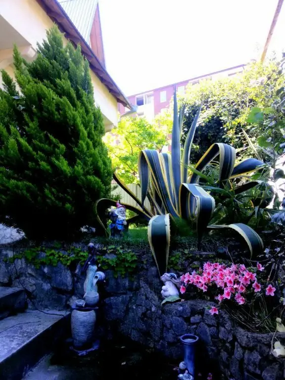 Сочи: Elis Guest House