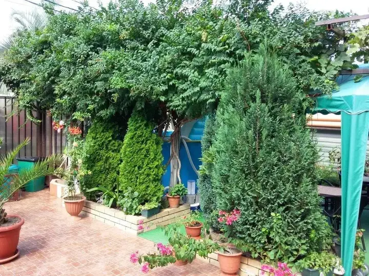 Сочи: Lazurniy Guest House