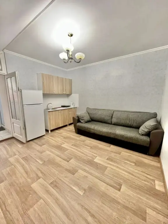Апартаменты Адлер Чкалова д 42/1 № 10 Альфагид — фото 1
