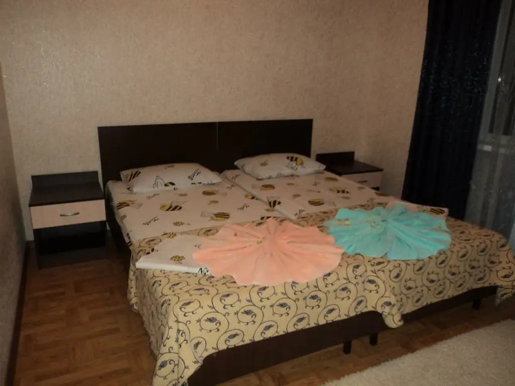 Сочи: Guesthouse Svetlana