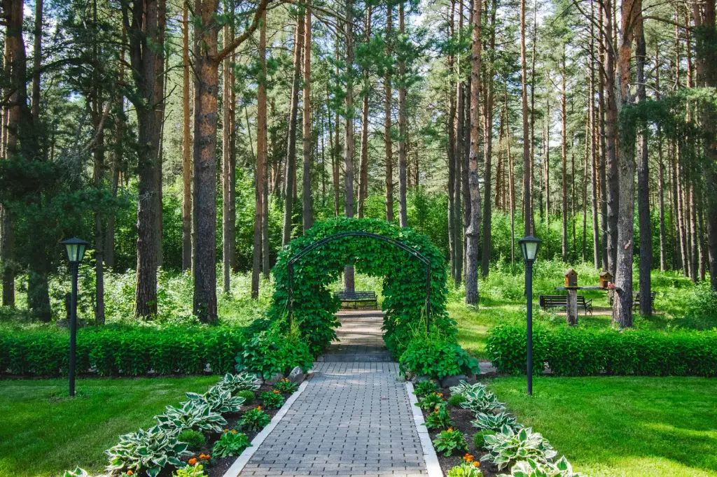 Мышкин: Отель Лесная сказка