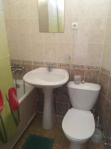 Сочи: Guest House Agava