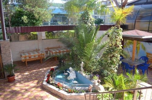 Сочи: Guest House Kamielia