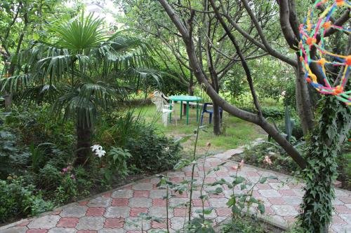Сочи: Guest house Klenovaya 19