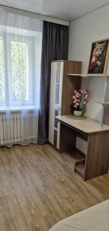 Петропавловск-Камчатский: Квартира Уютная в Сероглазке Космонавтов 55
