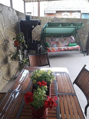 Сочи: Guest House Letniy