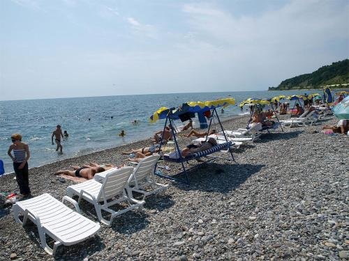 Сочи: Guest House Letniy