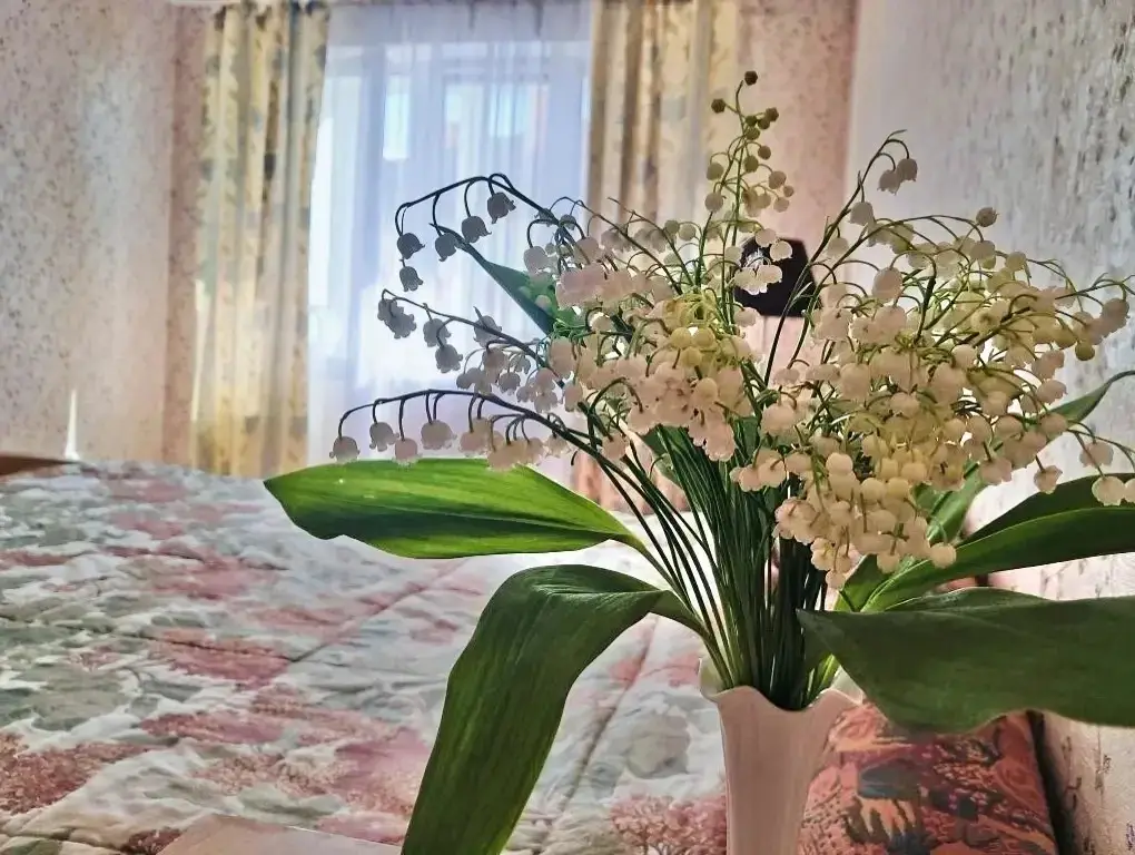 Квартира Просторная для 6 человек на Солнечной 17 в Зеленоградске — фото 1