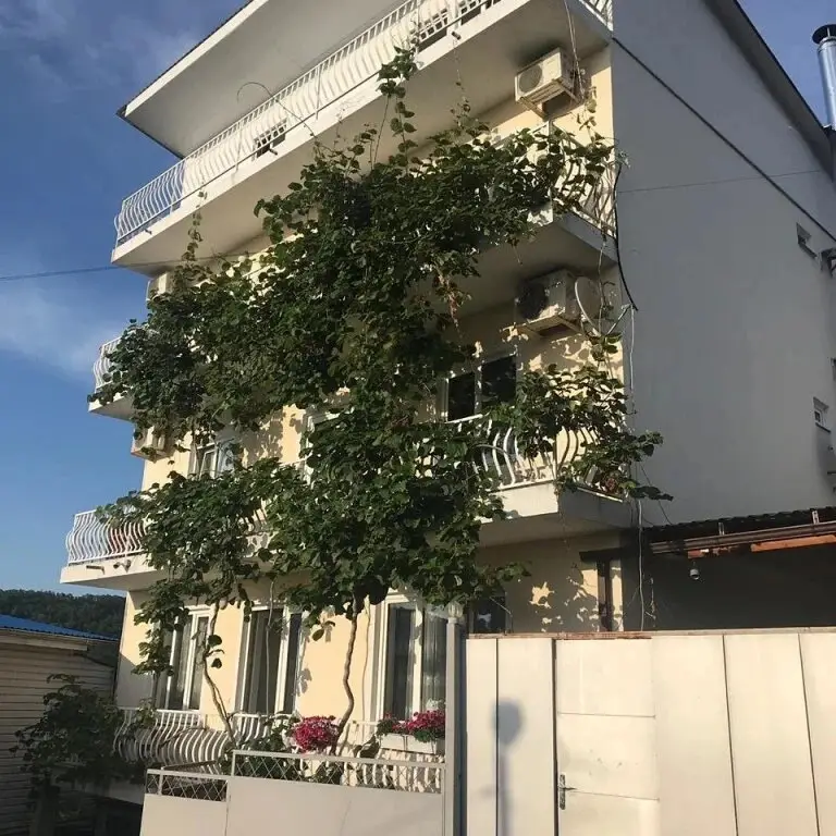 Guest House Mechta — фото 1