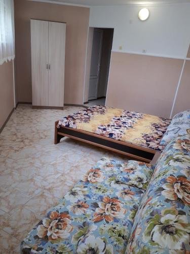 Геленджик: Guest House Nautilus