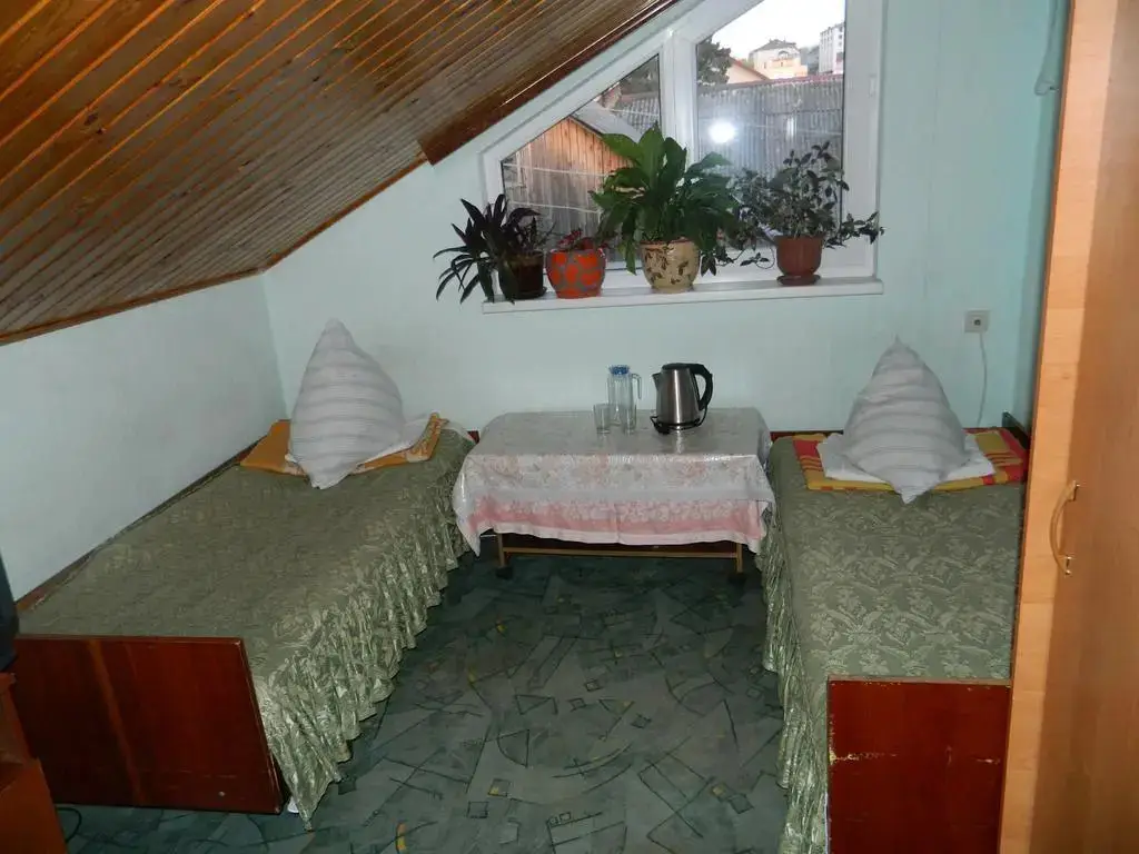 Сочи: Guest House Olga