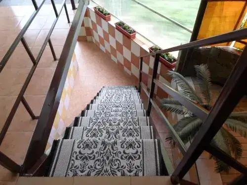 Сочи: Guest House Omichka
