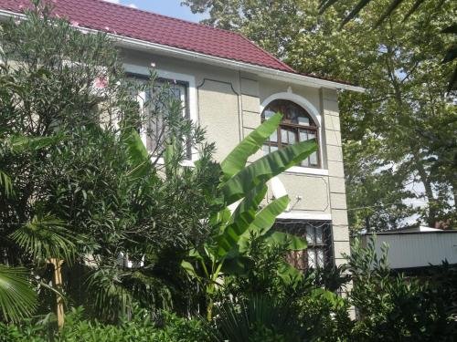Сочи: Guest House on Plodovaya 2