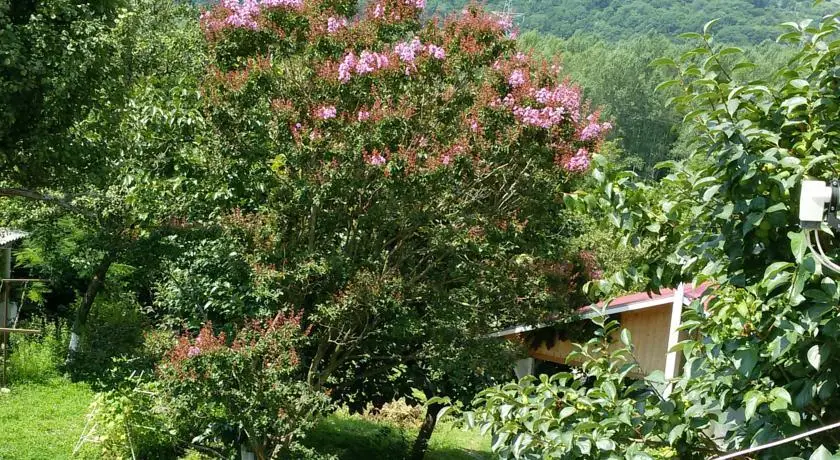 Сочи: Guest house on Skryabino