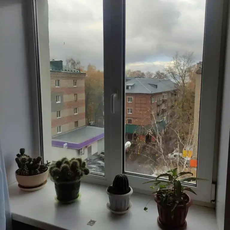 Пенза: Квартира трехкомнатная мкрн. Западная поляна