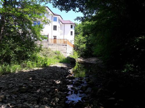 Сочи: Guest house Rio