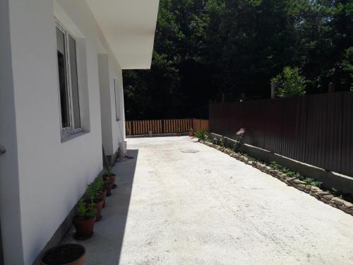 Сочи: Guest house Rio
