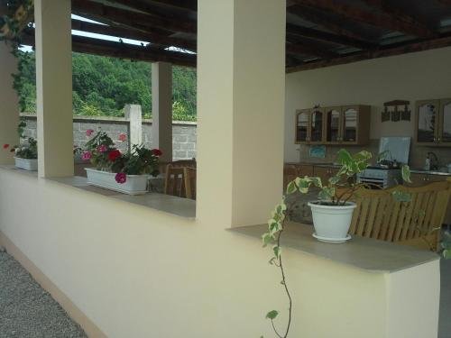 Сочи: Guest House Svetlana Lyuks