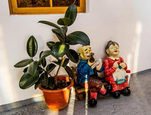 Сочи: Guest House Tatyana